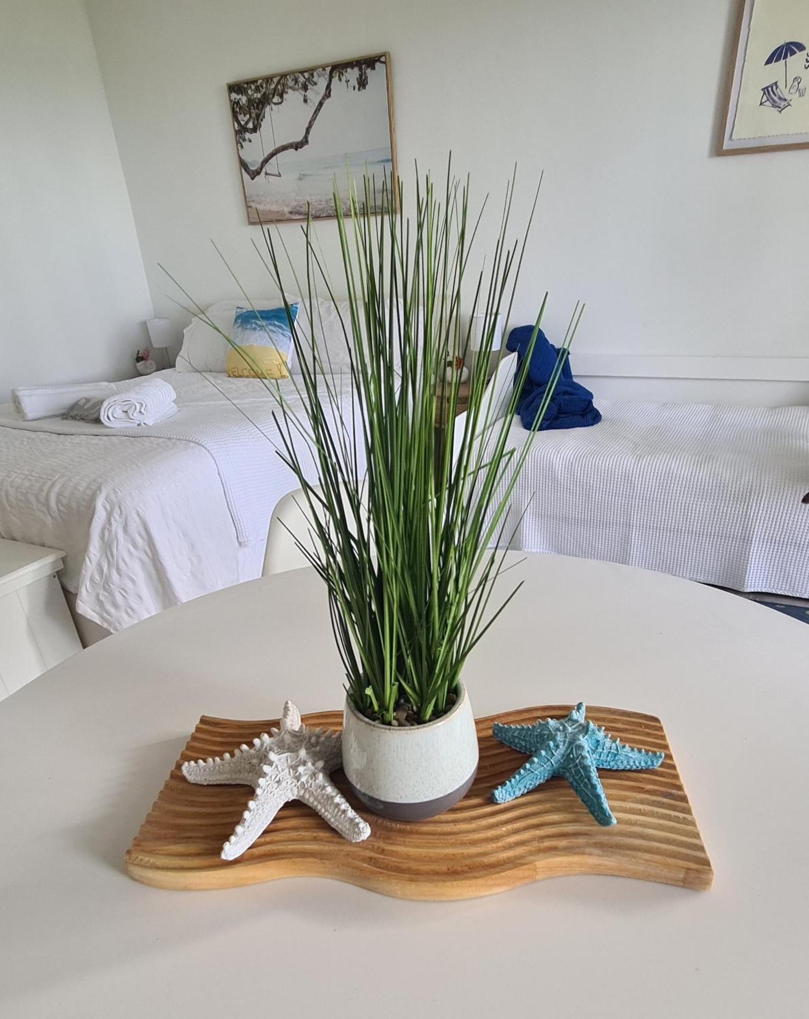 Dolphin Heads - Resort Unit - Absolute Beachfront! - Whitsunday Getaway! Mackay Exterior photo