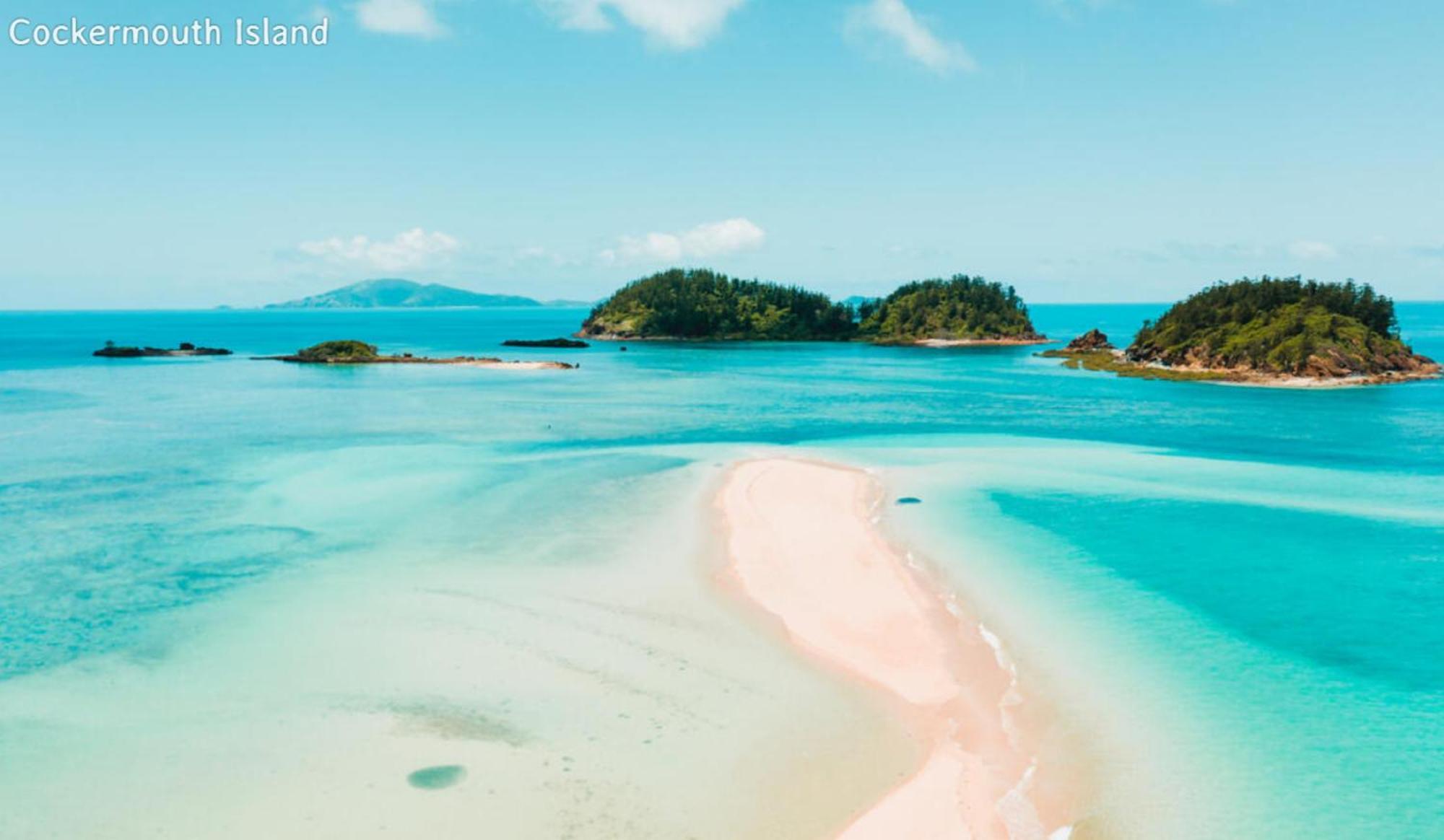 Dolphin Heads - Resort Unit - Absolute Beachfront! - Whitsunday Getaway! Mackay Exterior photo